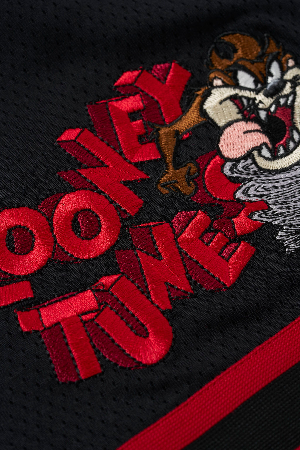 Looney Tunes Embroidered Patch Shorts - View 5