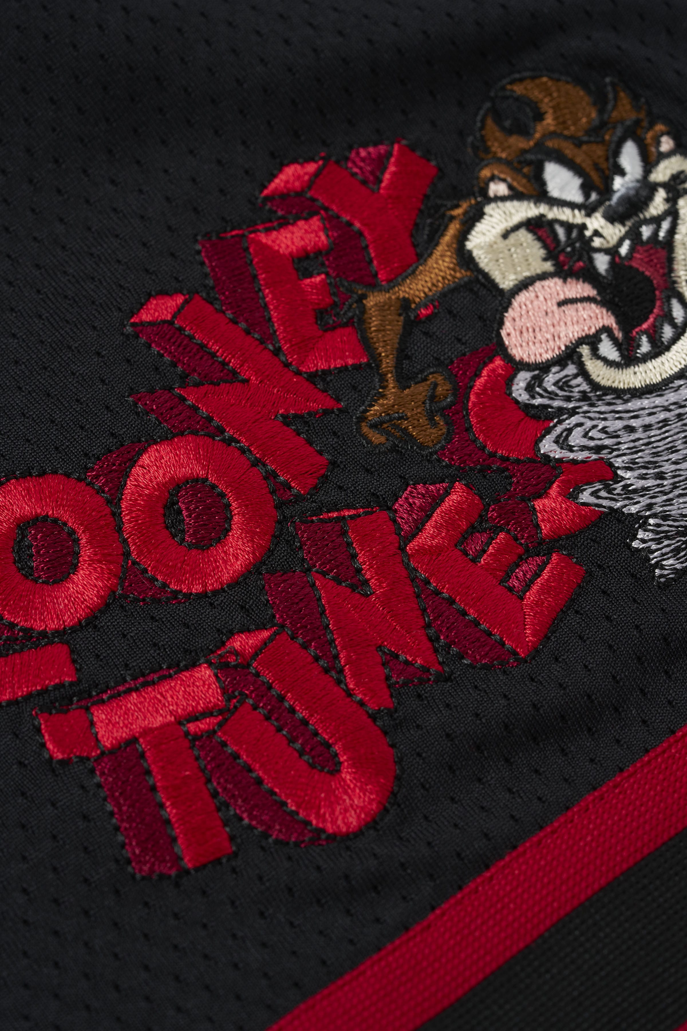 Looney Tunes Embroidered Patch Shorts - View 5